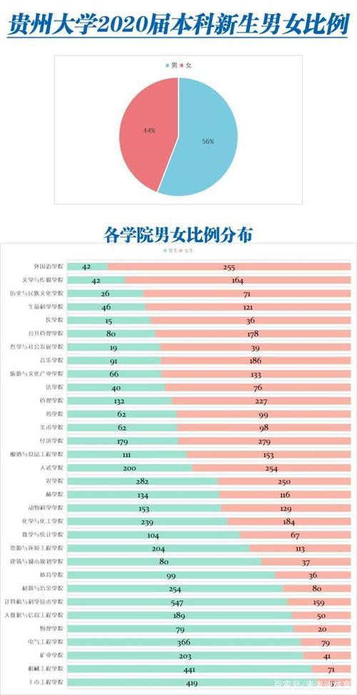 电气学院男女比例多少-电气学院男女比例多少啊